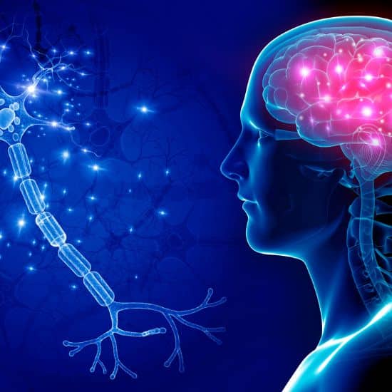 A graphic of a brain and the functioning of a neuron